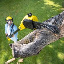 Lawn Renovation and Restoration in Woonsocket, RI